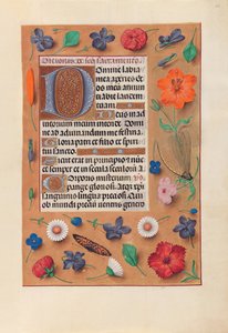 Stunden der Königin Isabella der Katholischen, Königin von Spanien: Fol.44r, um 1500 von Master of the First Prayerbook of Maximillian