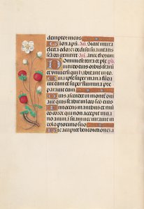 Stundenbuch der Königin Isabella der Katholischen, Königin von Spanien: Fol. 102v, ca. 1500