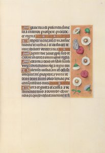 Stundenbuch der Königin Isabella der Katholischen, Königin von Spanien: Fol. 104r