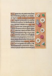 Stundenbuch der Königin Isabella der Katholischen, Königin von Spanien: Fol. 104r, um 1500