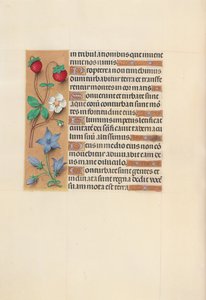 Stundenbuch der Königin Isabella die Katholische, Königin von Spanien: Fol. 105v
