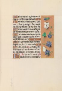 Stundenbuch der Königin Isabella der Katholischen, Königin von Spanien: Fol. 106r, ca. 1500