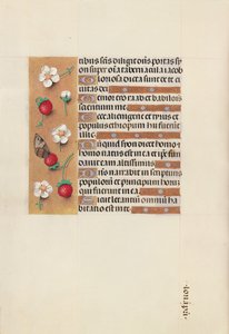 Stundenbuch der Königin Isabella der Katholischen, Königin von Spanien: Fol. 106v von Master of the First Prayerbook of Maximillian