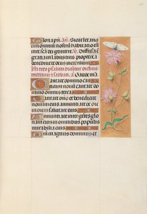 Stundenbuch der Königin Isabella der Katholischen, Königin von Spanien: Fol. 107r von Master of the First Prayerbook of Maximillian