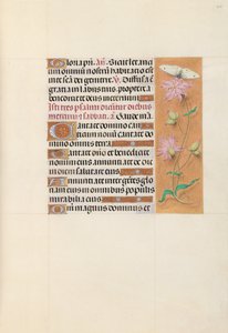 Stundenbuch der Königin Isabella der Katholischen, Königin von Spanien: Fol. 107r, ca. 1500 von Master of the First Prayerbook of Maximillian