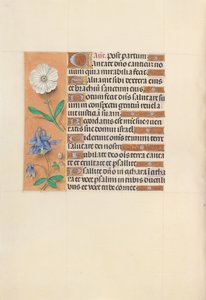 Stundenbuch der Königin Isabella die Katholische, Königin von Spanien: Fol. 109v, ca. 1500 von Master of the First Prayerbook of Maximillian