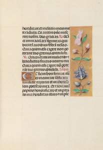 Stundenbuch der Königin Isabella die Katholische, Königin von Spanien: Fol. 111r, ca. 1500