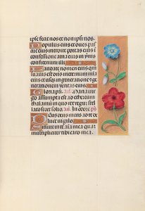 Stundenbuch der Königin Isabella der Katholischen, Königin von Spanien: Fol. 117r, ca. 1500 von Master of the First Prayerbook of Maximillian