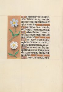 Stundenbuch der Königin Isabella der Katholischen, Königin von Spanien: Fol. 117v, ca. 1500 von Master of the First Prayerbook of Maximillian
