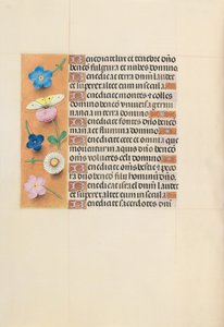 Stundenbuch der Königin Isabella der Katholischen, Königin von Spanien: Fol. 119v, um 1500