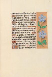 Stundenbuch der Königin Isabella der Katholischen, Königin von Spanien: Fol. 120r, um 1500 von Master of the First Prayerbook of Maximillian