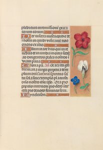 Stundenbuch der Königin Isabella die Katholische, Königin von Spanien: Fol. 124r, um 1500 von Master of the First Prayerbook of Maximillian