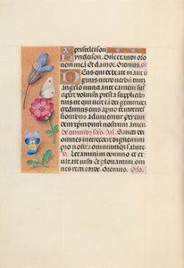 Stundenbuch der Königin Isabella der Katholischen, Königin von Spanien: Fol. 124v, ca. 1500 von Master of the First Prayerbook of Maximillian