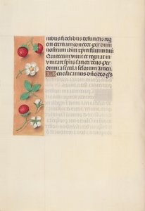 Stundenbuch der Königin Isabella der Katholischen, Königin von Spanien: Fol. 125v, um 1500