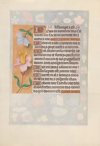 Stundenbuch der Königin Isabella der Katholischen, Königin von Spanien: Fol. 127v, ca. 1500 von Master of the First Prayerbook of Maximillian