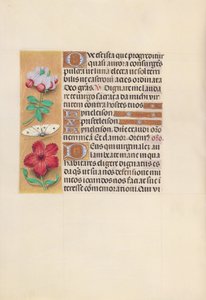 Stundenbuch der Königin Isabella der Katholischen, Königin von Spanien: Fol. 129v, ca. 1500
