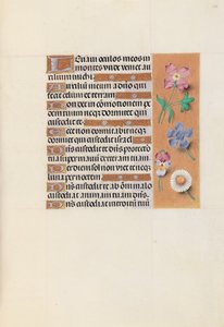 Stundenbuch der Königin Isabella die Katholische, Königin von Spanien: Fol. 133r von Master of the First Prayerbook of Maximillian