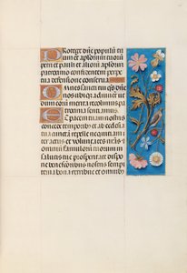 Stundenbuch der Königin Isabella der Katholischen, Königin von Spanien: Fol. 135r, ca. 1500