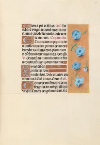 Stundenbuch der Königin Isabella der Katholischen, Königin von Spanien: Fol. 139r, ca. 1500 von Master of the First Prayerbook of Maximillian
