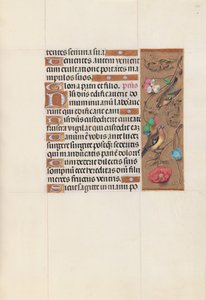Stundenbuch der Königin Isabella der Katholischen, Königin von Spanien: Fol. 143r, ca. 1500