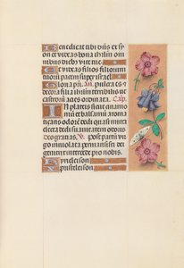 Stundenbuch der Königin Isabella die Katholische, Königin von Spanien: Fol. 144r, ca. 1500