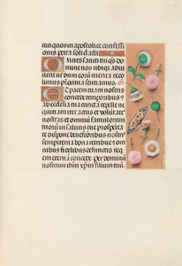 Stundenbuch der Königin Isabella der Katholischen, Königin von Spanien: Fol. 145r, ca. 1500 von Master of the First Prayerbook of Maximillian
