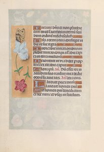 Stundenbuch der Königin Isabella die Katholische, Königin von Spanien: Fol. 147v, um 1500