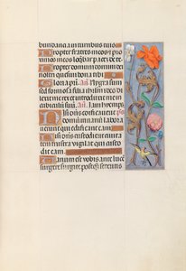 Stundenbuch der Königin Isabella der Katholischen, Königin von Spanien: Fol. 149r, um 1500