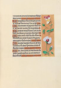 Stunden der Königin Isabella der Katholischen, Königin von Spanien: Fol. 150r, um 1500 von Master of the First Prayerbook of Maximillian