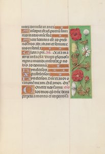 Stundenbuch der Königin Isabella der Katholischen, Königin von Spanien: Fol. 152r, um 1500 von Master of the First Prayerbook of Maximillian