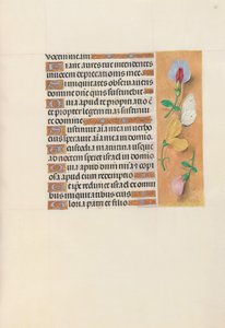 Stundenbuch der Königin Isabella die Katholische, Königin von Spanien: Fol. 156r, ca. 1500