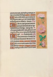 Stundenbuch der Königin Isabella die Katholische, Königin von Spanien: Fol. 157r, ca. 1500