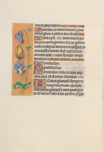 Stundenbuch der Königin Isabella der Katholischen, Königin von Spanien: Fol. 157v von Master of the First Prayerbook of Maximillian