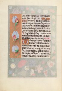 Stundenbuch der Königin Isabella der Katholischen, Königin von Spanien: Fol. 15v, ca. 1500 von Master of the First Prayerbook of Maximillian