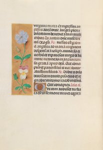Stundenbuch von Königin Isabella der Katholischen, Königin von Spanien: Fol. 162v, c. 1500