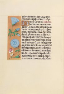 Stundenbuch der Königin Isabella der Katholischen, Königin von Spanien: Fol. 163v, ca. 1500