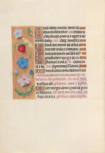 Stundenbuch der Königin Isabella die Katholische, Königin von Spanien: Fol. 164v, ca. 1500 von Master of the First Prayerbook of Maximillian