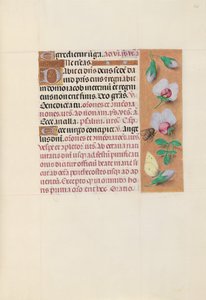 Stundenbuch der Königin Isabella der Katholischen, Königin von Spanien: Fol. 165r von Master of the First Prayerbook of Maximillian