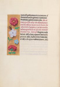 Stundenbuch der Königin Isabella der Katholischen, Königin von Spanien: Fol. 166v, um 1500