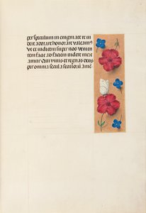 Stundenbuch der Königin Isabella der Katholischen, Königin von Spanien: Fol. 16r