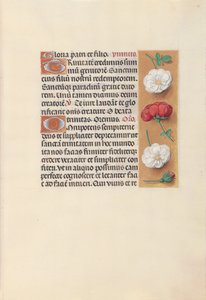 Stundenbuch der Königin Isabella der Katholischen, Königin von Spanien: Fol. 19r, um 1500 von Master of the First Prayerbook of Maximillian