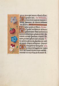 Stundenbuch der Königin Isabella der Katholischen, Königin von Spanien: Fol. 19v, um 1500 von Master of the First Prayerbook of Maximillian