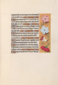 Stundenbuch der Königin Isabella der Katholischen, Königin von Spanien: Fol. 205r, um 1500
