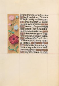Stundenbuch der Königin Isabella der Katholischen, Königin von Spanien: Fol. 205v von Master of the First Prayerbook of Maximillian