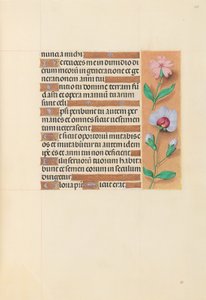 Stundenbuch der Königin Isabella der Katholischen, Königin von Spanien: Fol. 208r von Master of the First Prayerbook of Maximillian