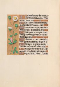 Stundenbuch der Königin Isabella der Katholischen, Königin von Spanien: Fol. 208v, ca. 1500