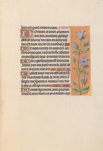 Stundenbuch der Königin Isabella der Katholischen, Königin von Spanien: Fol. 209r, um 1500 von Master of the First Prayerbook of Maximillian