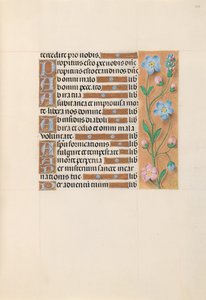 Stundenbuch der Königin Isabella der Katholischen, Königin von Spanien: Fol. 213r, ca. 1500