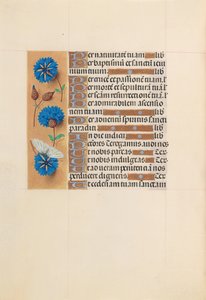 Stundenbuch der Königin Isabella die Katholische, Königin von Spanien: Fol. 213v, um 1500