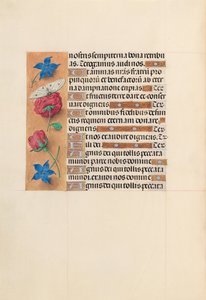 Stundenbuch der Königin Isabella der Katholischen, Königin von Spanien: Fol. 214v, ca. 1500 von Master of the First Prayerbook of Maximillian